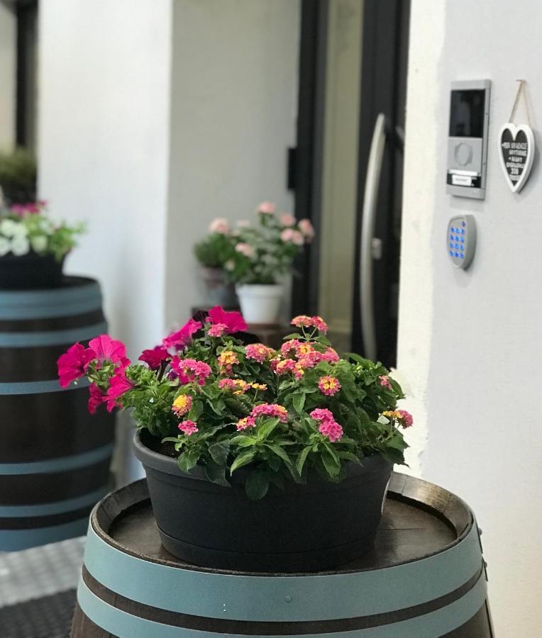 Hotel Monte Cimone Caldonazzo Zewnętrze zdjęcie